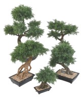 Kunstlik bonsai kadakas kausis