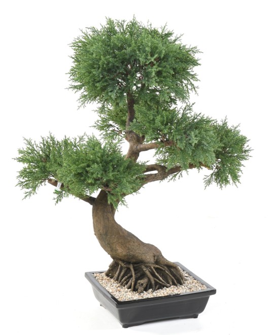 Artificial BONSAI JUNIPERUS IN BOWL