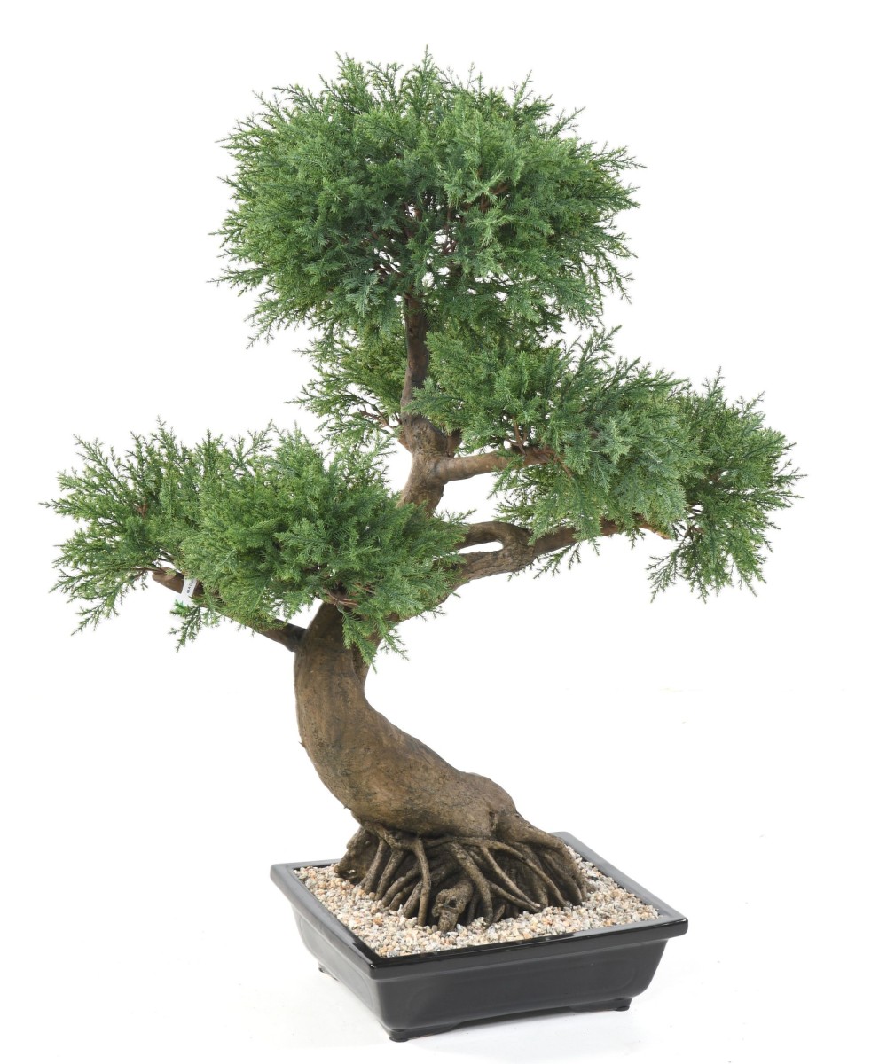 Kunstlik bonsai kadakas kausis
