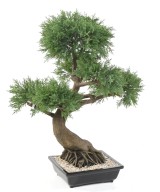 Kunstlik bonsai kadakas kausis