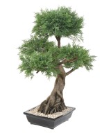 Kunstlik bonsai kadakas kausis