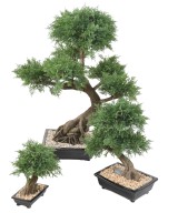 Kunstlik bonsai kadakas kausis