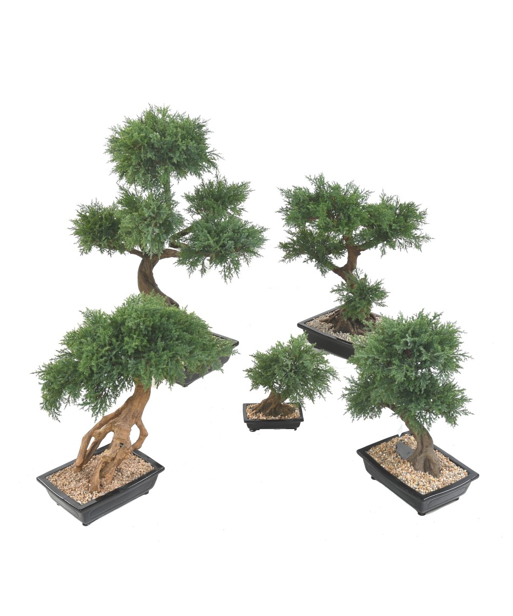 Kunstlik bonsai kadakas kausis