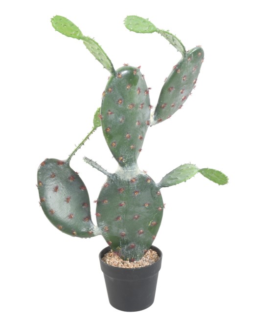 KUNSTLIK OPUNTIA KAKTUS