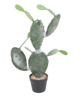 KUNSTLIK OPUNTIA KAKTUS