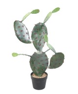 KUNSTLIK OPUNTIA KAKTUS