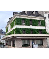 Artificial GREEN WALL PANEL D 50x50