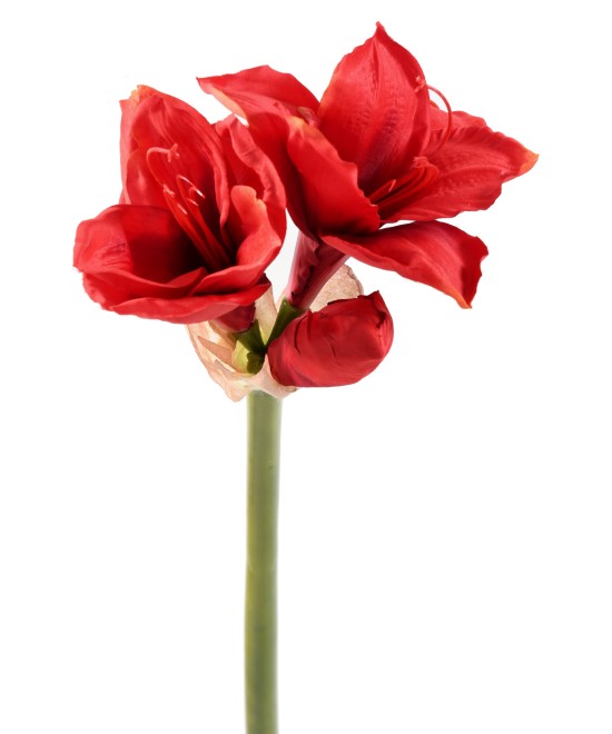 Artificial amaryllis stem