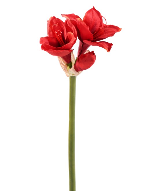 Artificial amaryllis stem