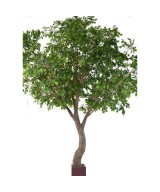 Artificial oak S