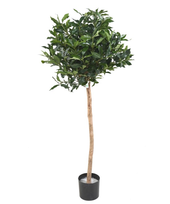 Artificial LAUREL LUSITANICA STEM
