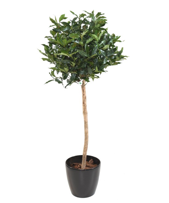 Artificial LAUREL LUSITANICA STEM