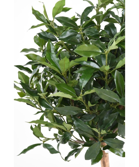 Kunstlik LAUREL LUSITANICA vars
