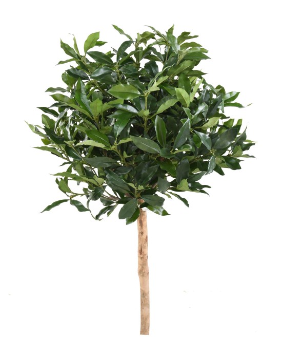 Artificial LAUREL LUSITANICA STEM