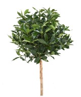 Artificial LAUREL LUSITANICA STEM