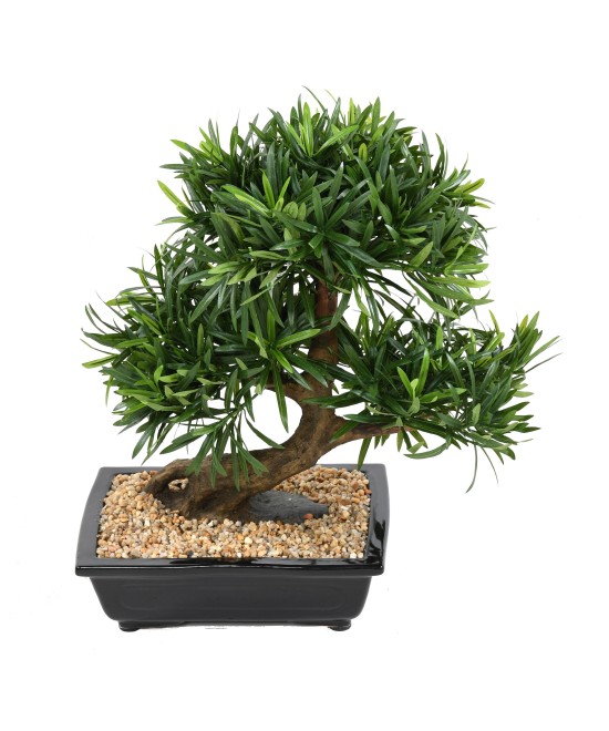 Artificial BONSAI PODOCARPUS IN BOWL