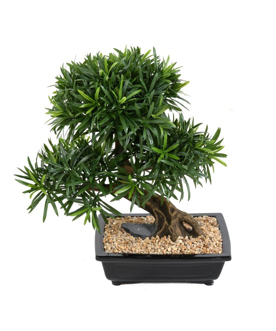 Kunstlik bonsai podokarpus kausis