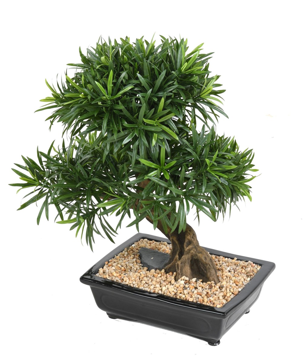 Kunstlik bonsai podokarpus kausis