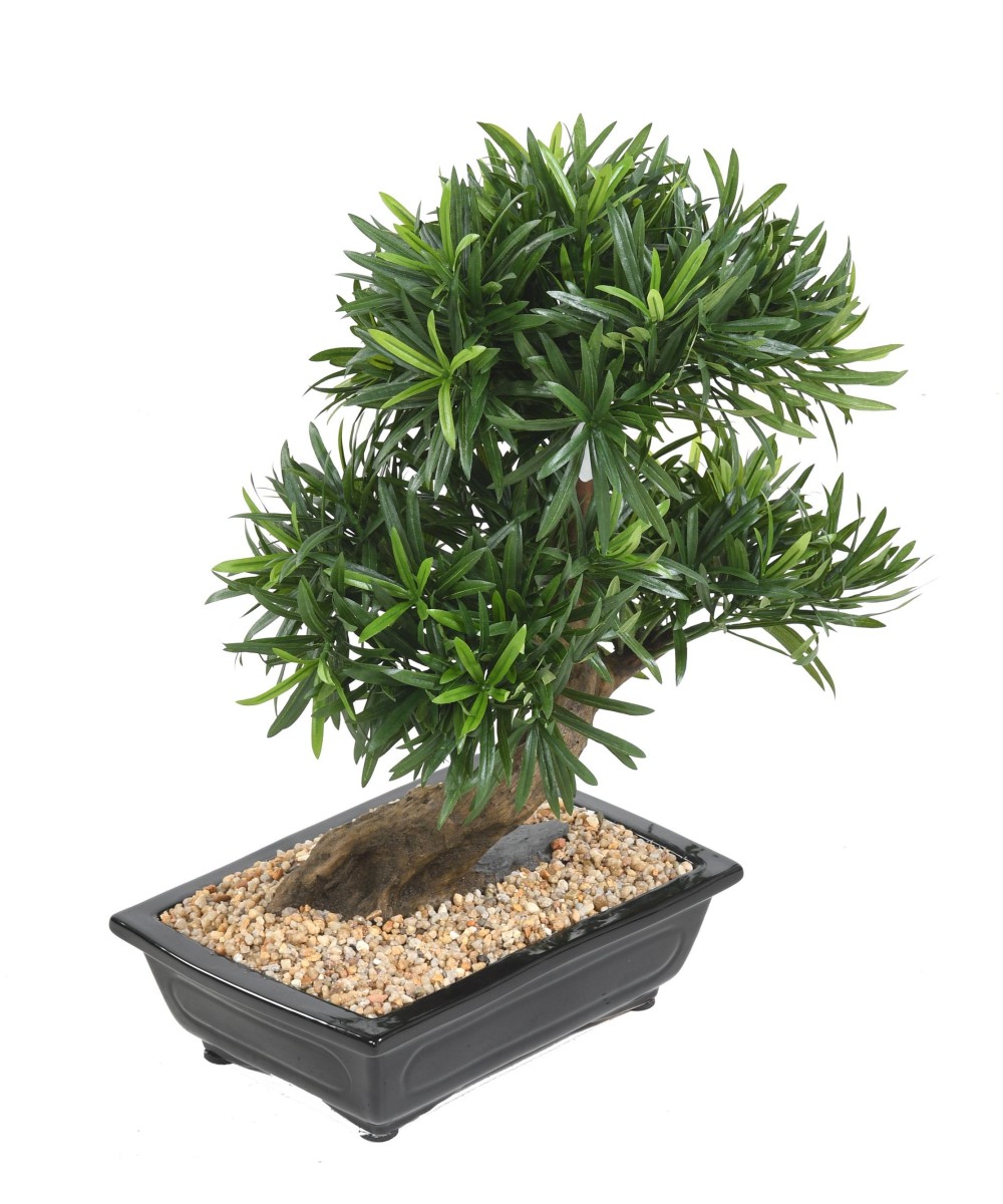 Artificial BONSAI PODOCARPUS IN BOWL