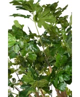 Artificial FIG TREE