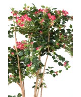 Kunstlik bugenvillea JUUR