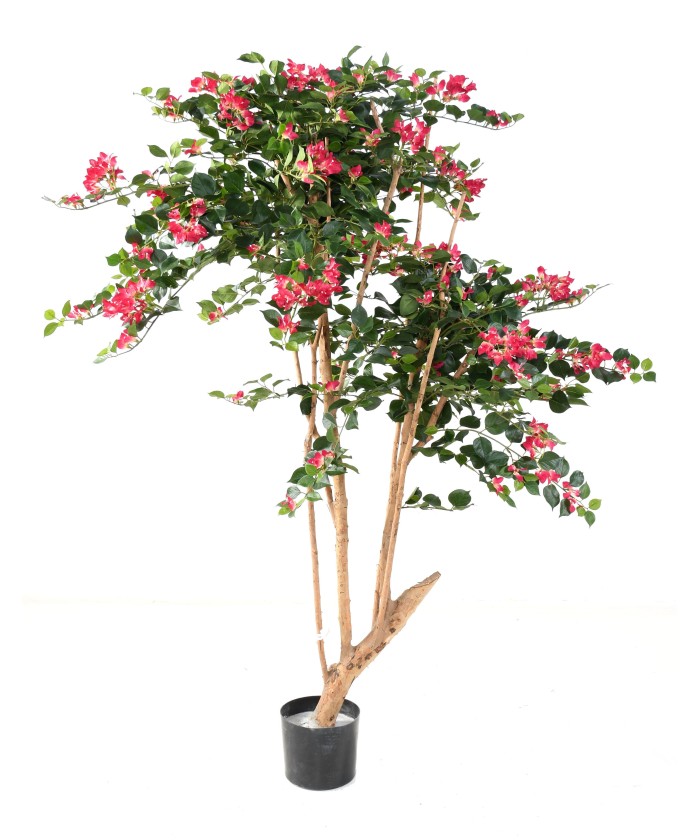 Artificial bougainvillea ROOT