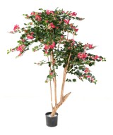 Kunstlik bugenvillea JUUR