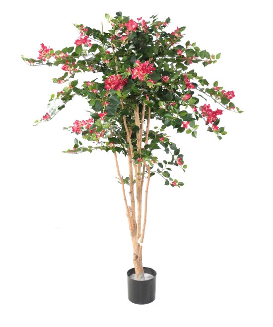 Artificial bougainvillea ROOT