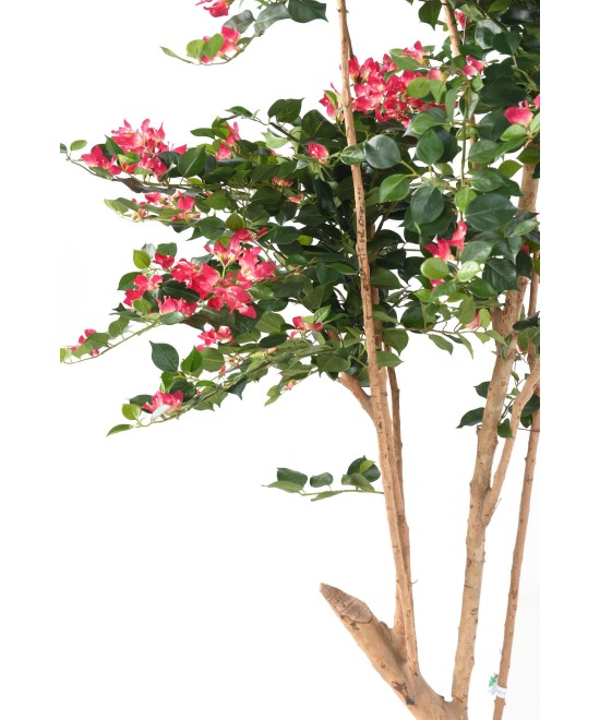 Kunstlik bugenvillea JUUR