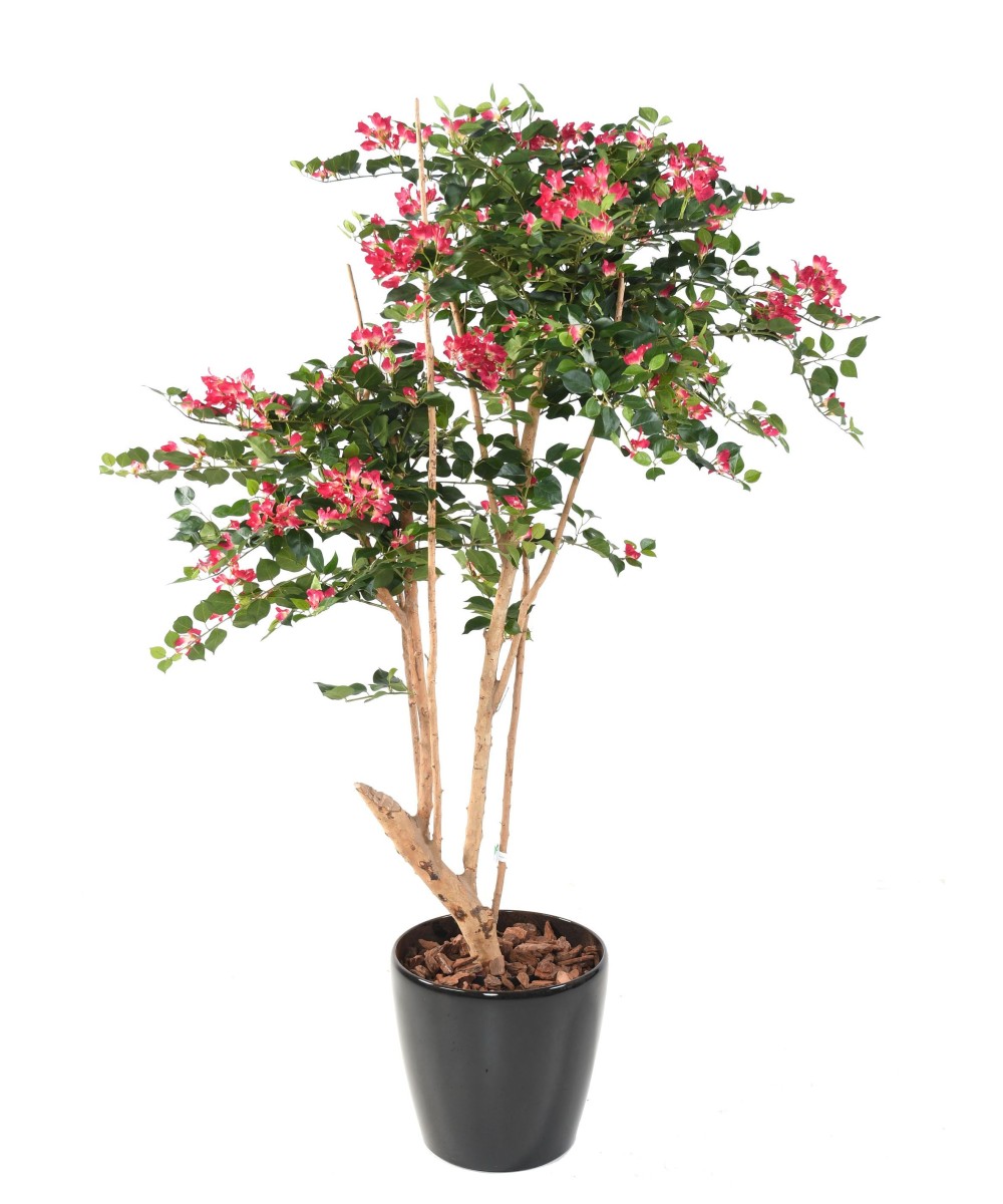 Kunstlik bugenvillea JUUR