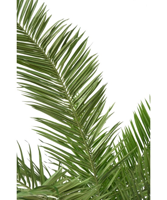 Artificial palm tree CANARY ISLAND DATE PALM