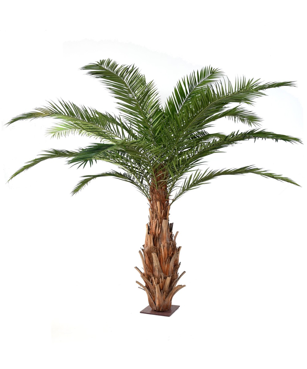 Kunstpalm Kanaari saarte datlipalm