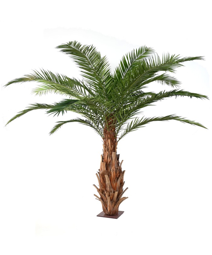 Kunstpalm Kanaari saarte datlipalm