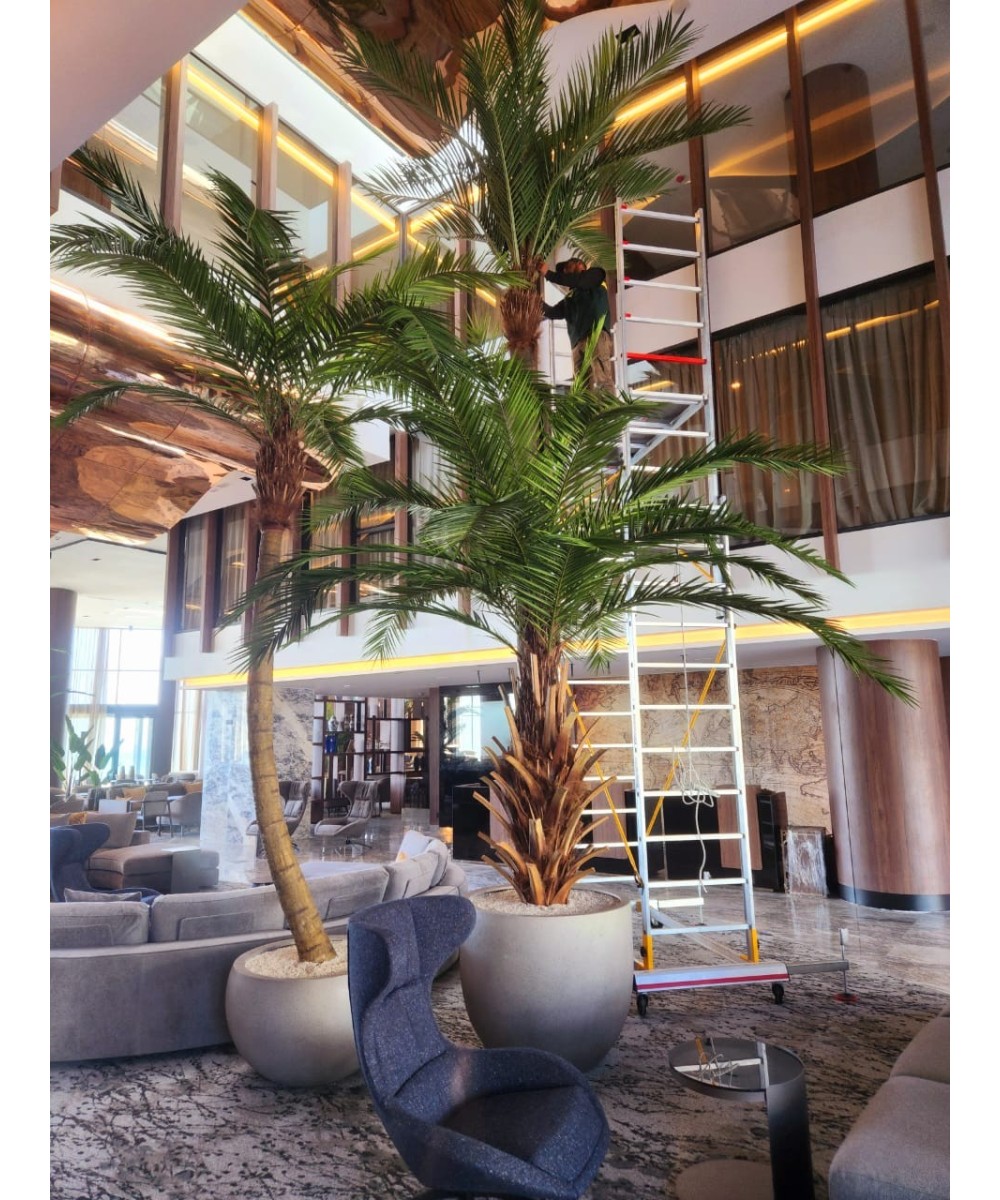 Kunstpalm Kanaari saarte datlipalm