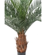 Kunst-datlipalm tüvi N plast
