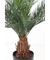 Artificial phoenix TRUNK N PLAST