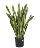 Artificial Sansevieria LARGE