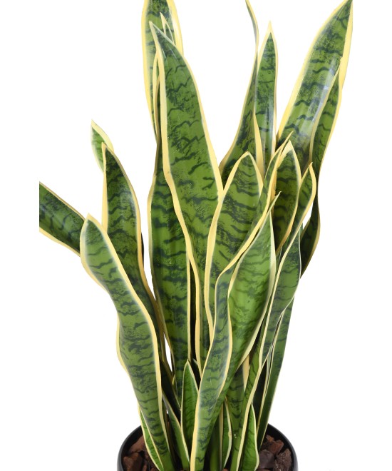 Artificial Sansevieria LARGE