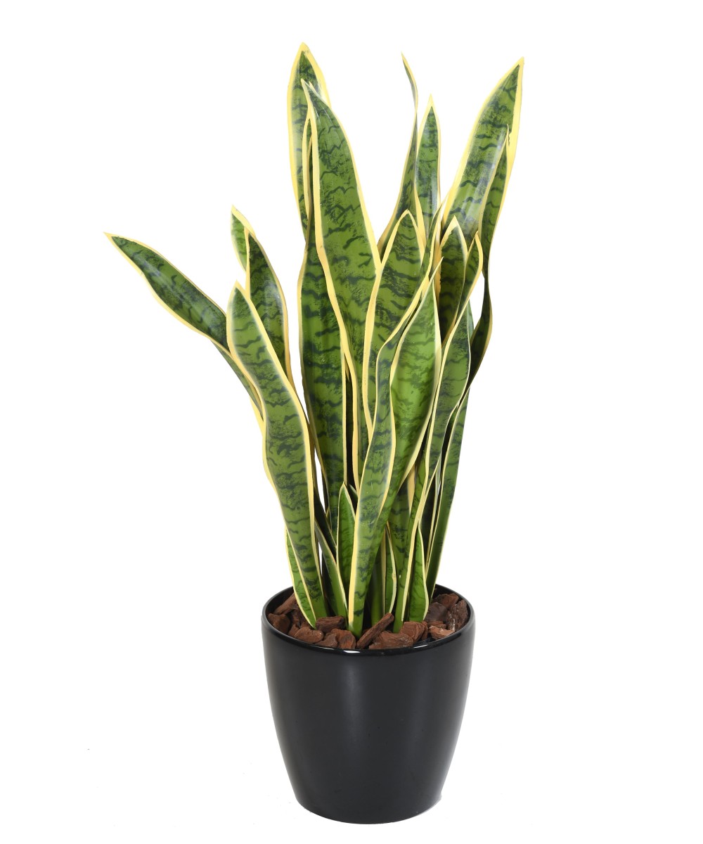 Artificial Sansevieria LARGE