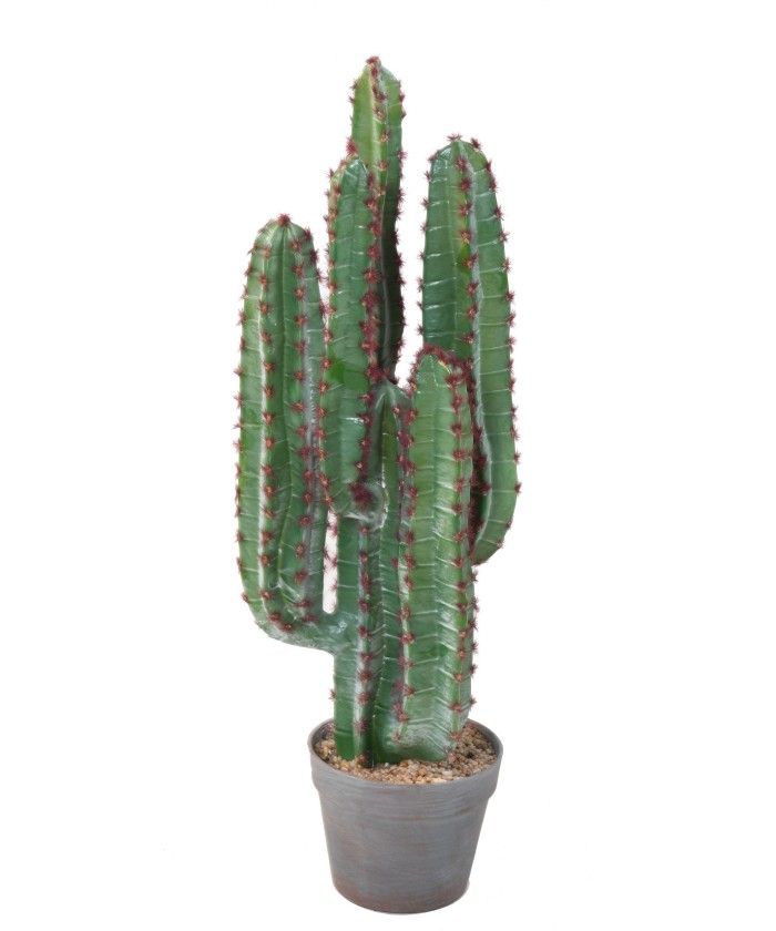 Artificial CACTUS 77