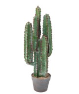Artificial CACTUS 77