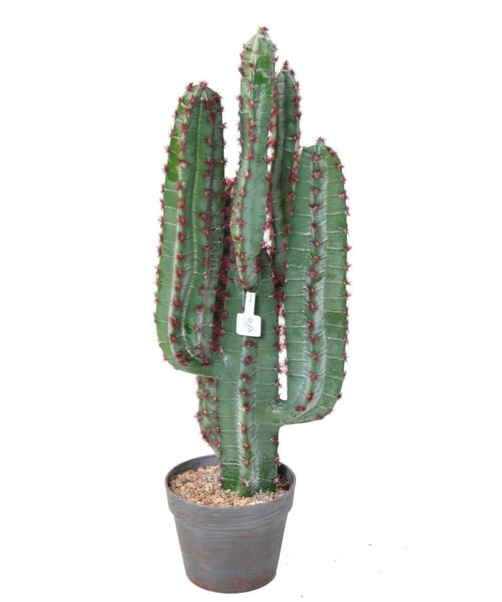 Artificial CACTUS 77