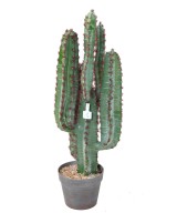 Artificial CACTUS 77