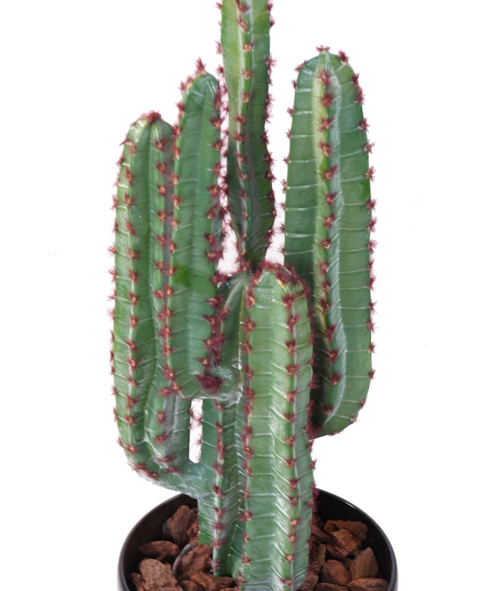 Artificial CACTUS 77