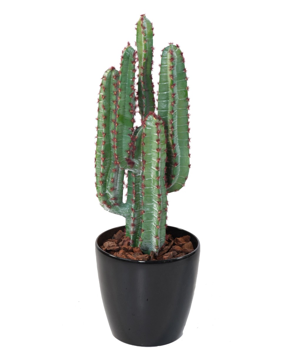 Artificial CACTUS 77