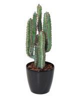 Artificial CACTUS 77