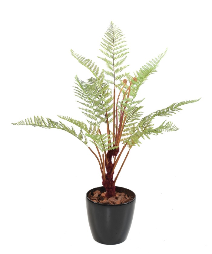 Artificial DICKSONIA FERN