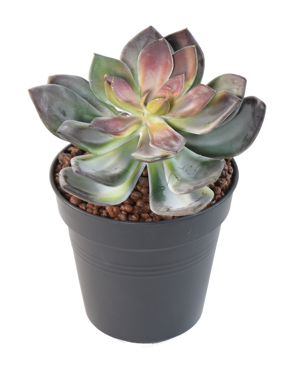 Artificial SUCCULENT GR