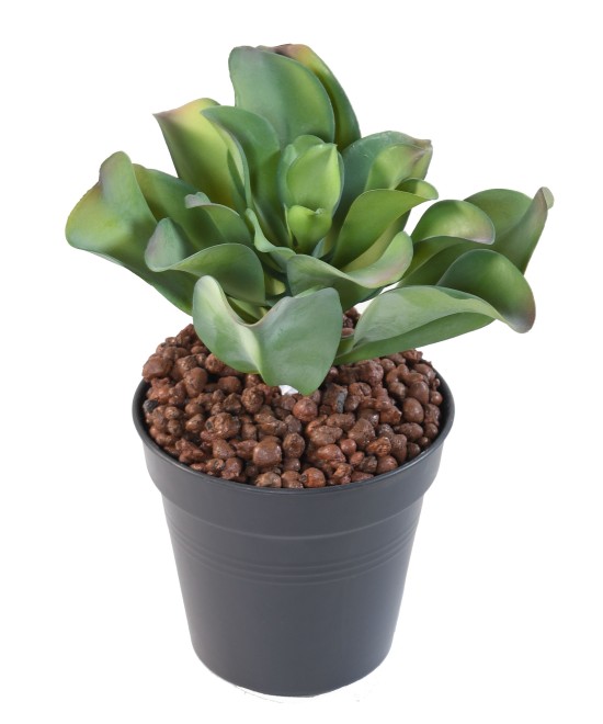 Artificial SUCCULENT 20