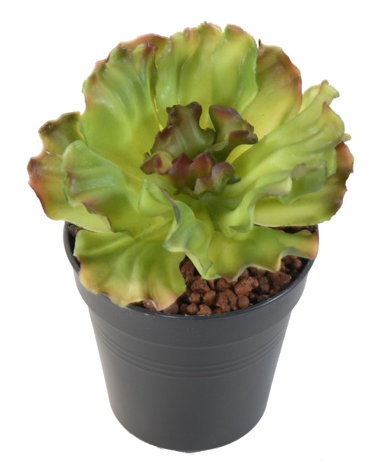 Artificial ALOE SOFT